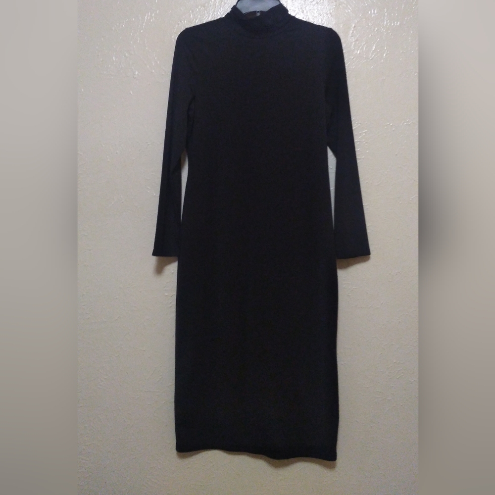 Black Turtleneck Dress